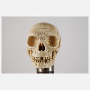 Spazierstock Elfenbein