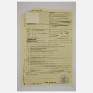 Spazierstock Elfenbein