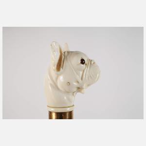 Spazierstock Elfenbein