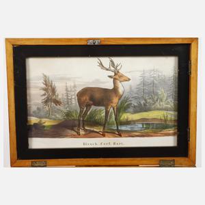 Schatulle Biedermeier