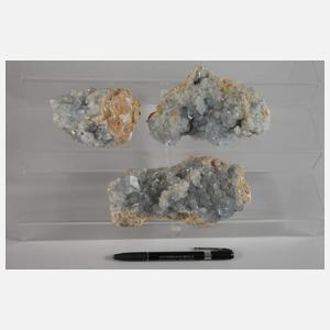 Konvolut Coelestinstufen