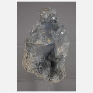 Konvolut Coelestinstufen