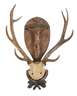 Jagdtrophäe "Hubertushirsch"