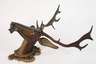 Geschnitzte Jagdtrophäe