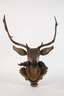 Geschnitzte Jagdtrophäe