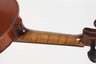Violine