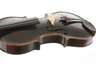 Violine im Etui