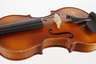Violine