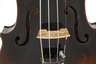 Violine