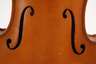Violine