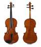 Violine
