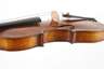 Violine