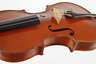 Violine