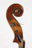 Violine
