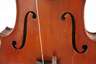 Violine