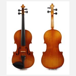 Violine im Etui