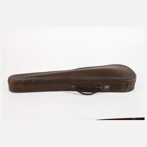 Violine im Etui