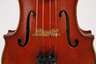Violine Wilfer