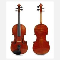 Violine Wilfer111