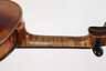 Violine Grandjon