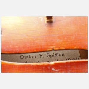 Violine Spidlen