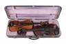 Zwei Violinen im Etui