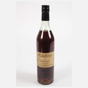 Flasche Cognac