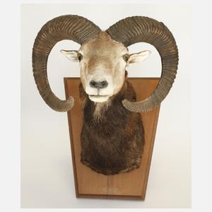 Jagdnachlass Erich Honecker