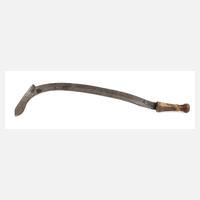 Sichelmesser Afrika111