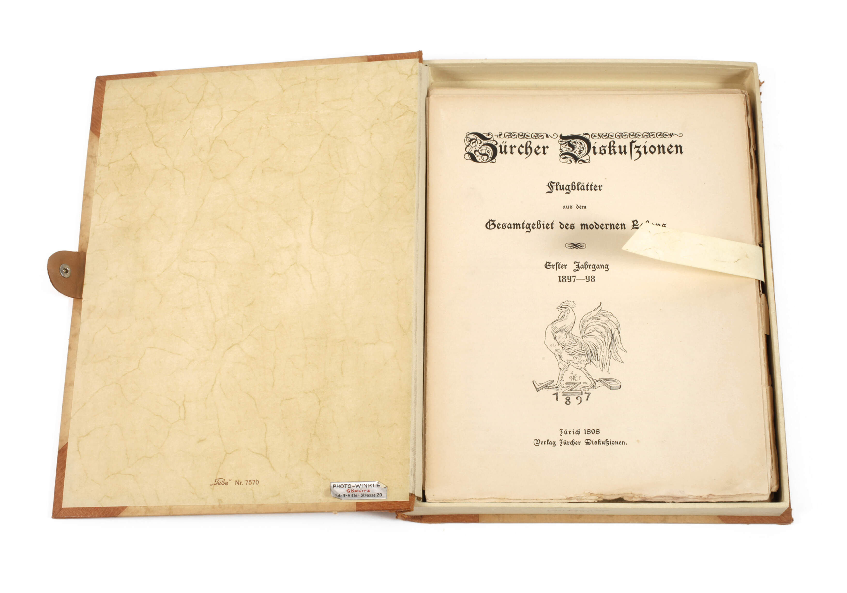 Panizza, Zürcher Diskussionen