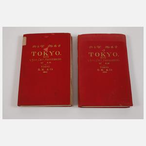 Zwei Stadtpläne Tokio 1893