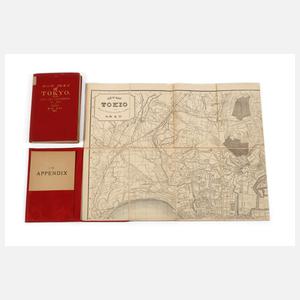 Zwei Stadtpläne Tokio 1893
