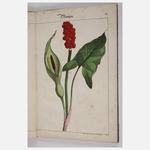 Bilder zum Anschauungs-Unterricht