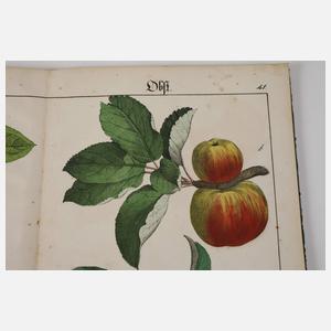 Bilder zum Anschauungs-Unterricht