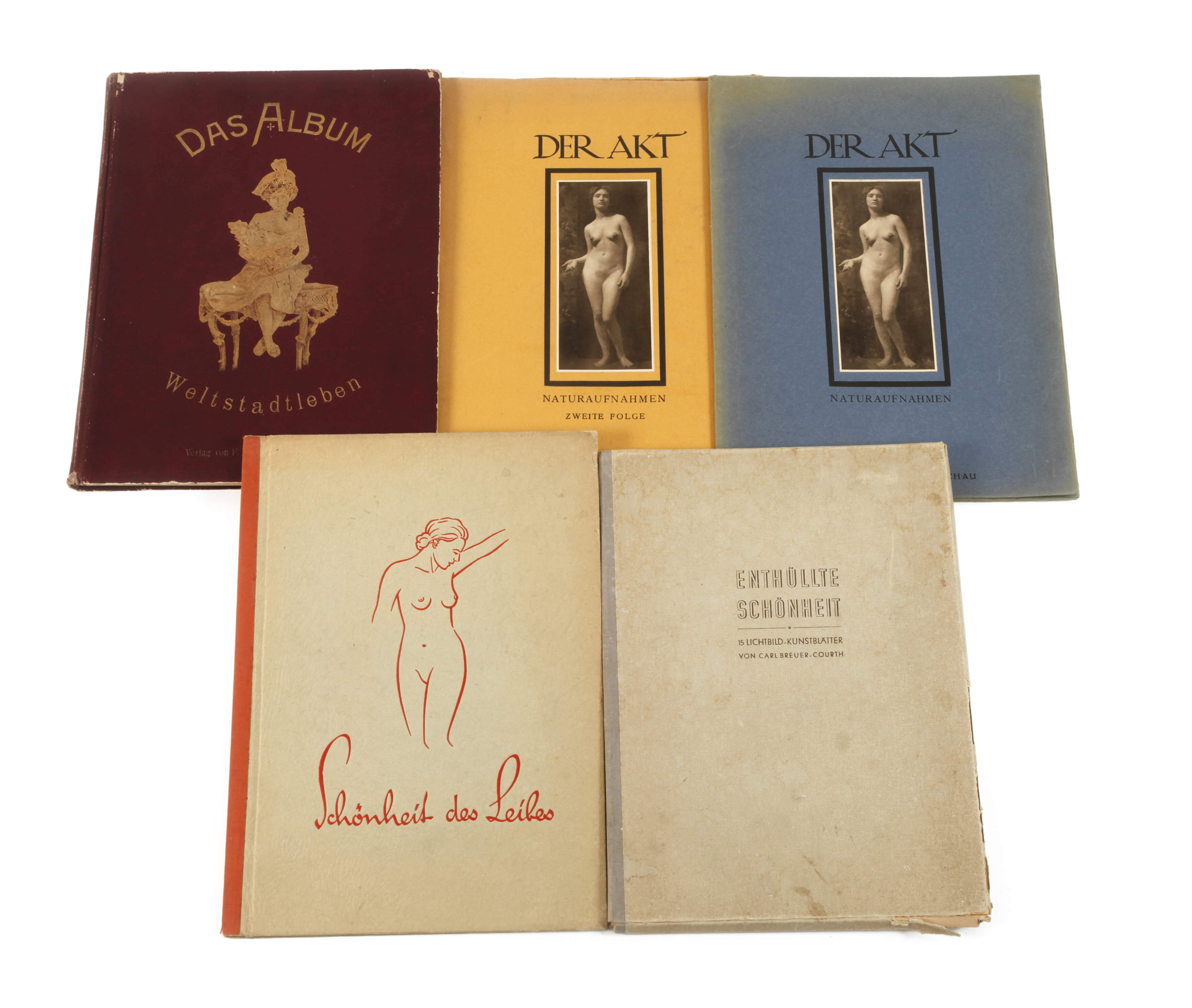 Fünf Bände Akt und Fotografie