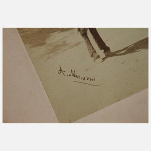 Konvolut Fotos Guillaume Berggren