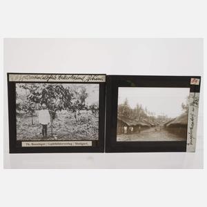 Konvolut Glasdias Afrika