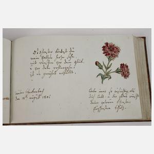 Kleines Stammbuch-Album Amicorum