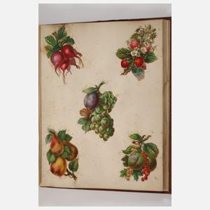 Drei Glanzbilder-Sammelalben England