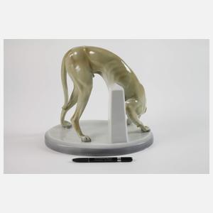 Heubach Lichte große Dogge