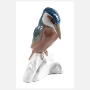 Meissen "Eisvogel"