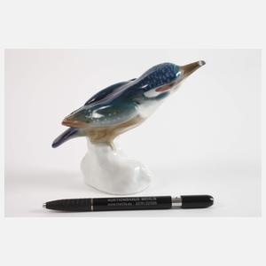 Meissen "Eisvogel, Kopf gestreckt"