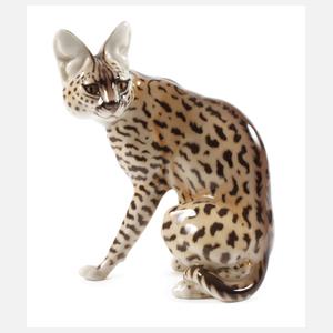 Nymphenburg "Serval"
