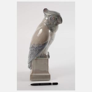 Rudolf von Heider Kakadu