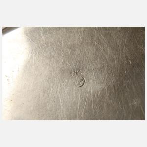 Tischtennisspieler Hagenauer