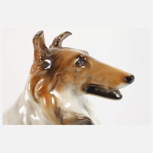 Hutschenreuther Collie