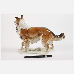 Hutschenreuther Collie