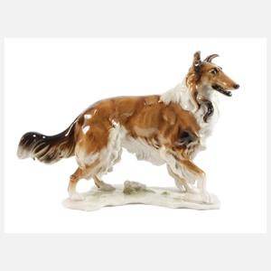 Hutschenreuther Collie
