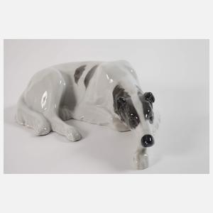 Kaestner Oberhohndorf Windhund