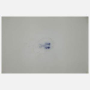 Meissen Kanne und Cachepot "Vogelmalerei"